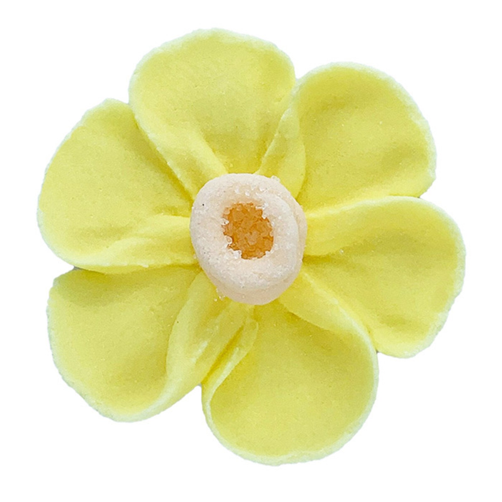 ROYAL DAFFODIL