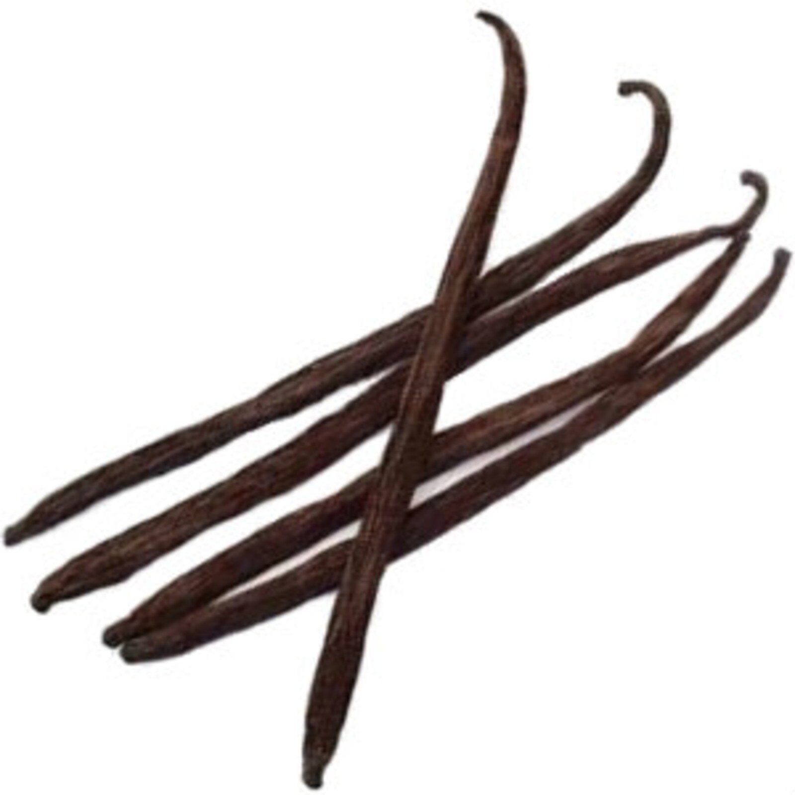 VANILLA BEAN PODS