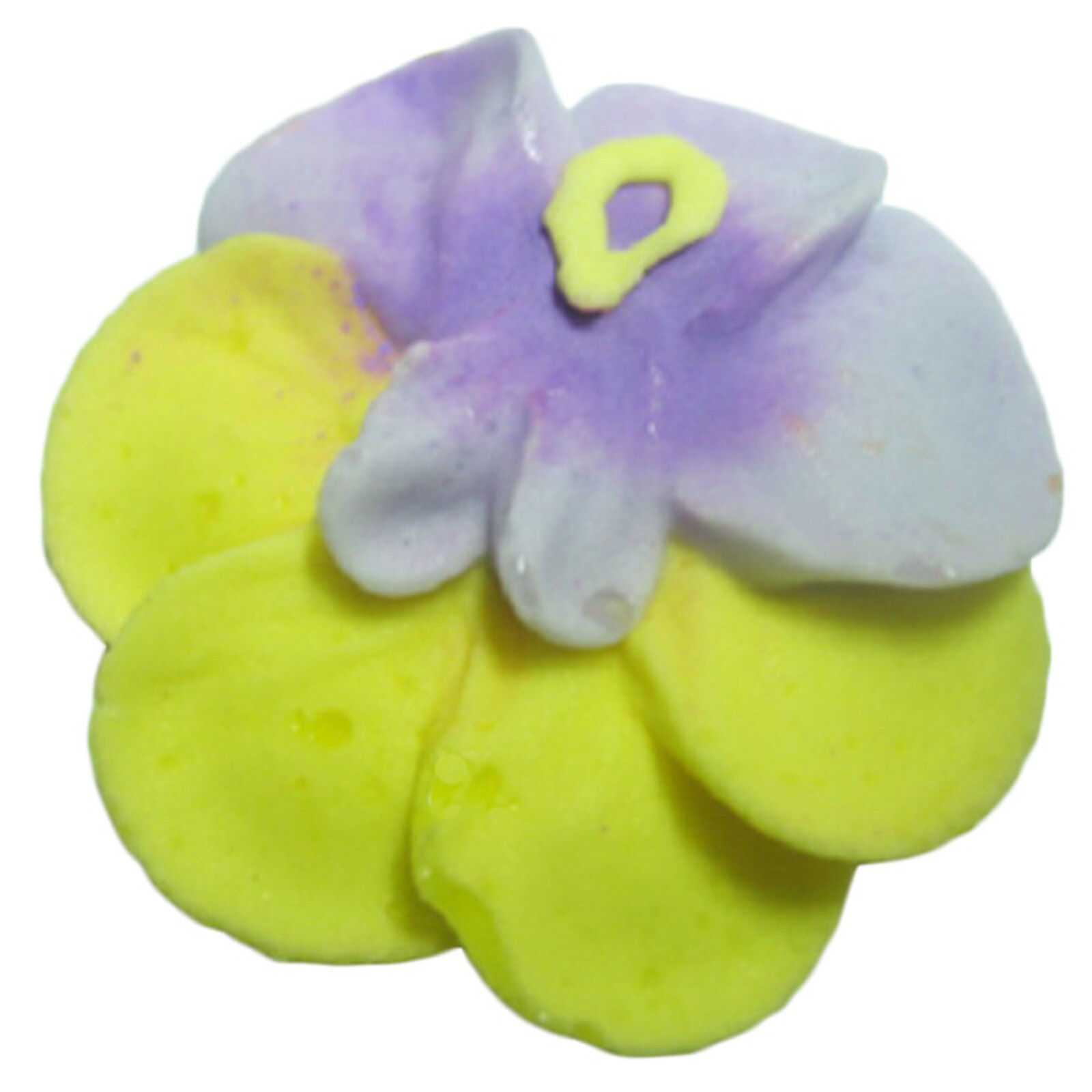 ROYAL YELLOW/PURPLE PANSY 1 3/4" 