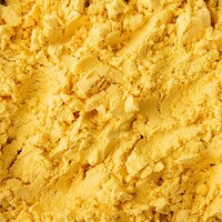 EGG YOLK POWDER 450 G