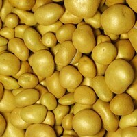 GOLD NUGGETS CHOCOLATE  